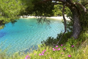 Mljet Iisland Villas