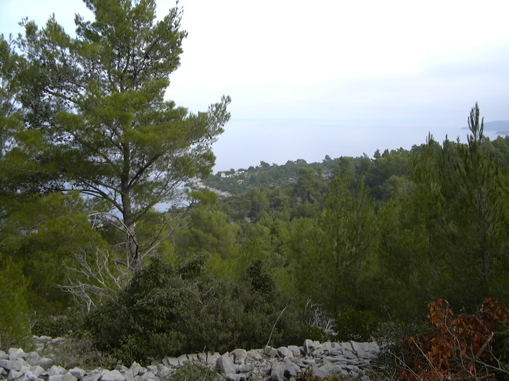 Villa Ruin C (1)